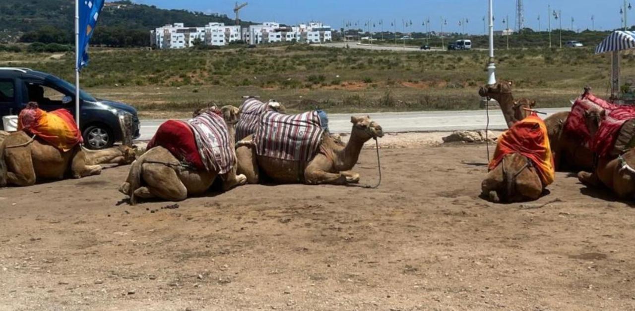 טנג'יר The Paradise Of Achakar מראה חיצוני תמונה